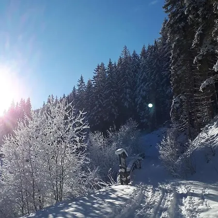 In Lungau Near Slopes